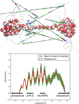 Application of the Brown Dynamics Fluctuation-Dissipation Theorem to the Study of Plasmodium berghei Transporter Protein PbAQP